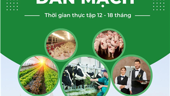 500 đến 700 chỉ tiêu cho chương trình thực tập sinh Đan Mạch năm 2025 ( 2000-2300Eu/th)