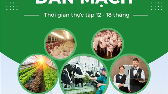 500 đến 700 chỉ tiêu cho chương trình thực tập sinh Đan Mạch năm 2025 ( 2000-2300Eu/th)